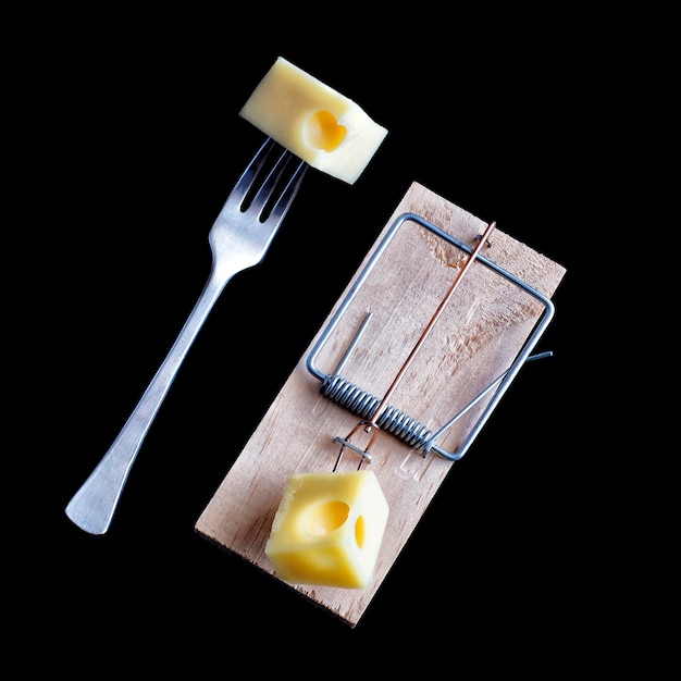 Photo vue rapprochée du fromage sur la trappe à souris