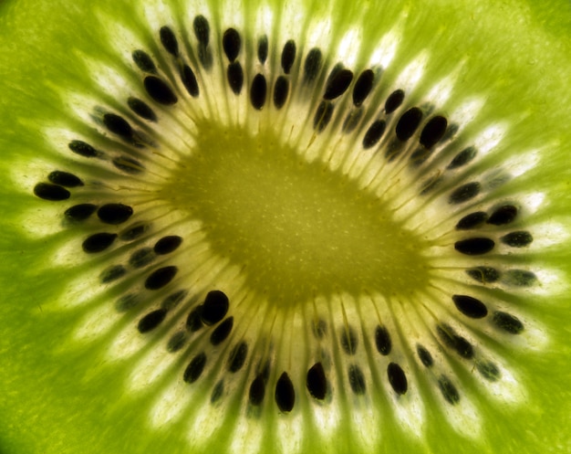 Vue rapprochée du kiwi en arrière-plan