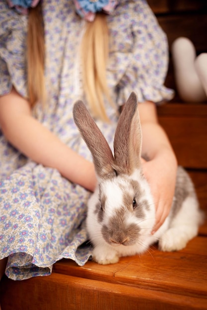 Vue rapprochée du lapin