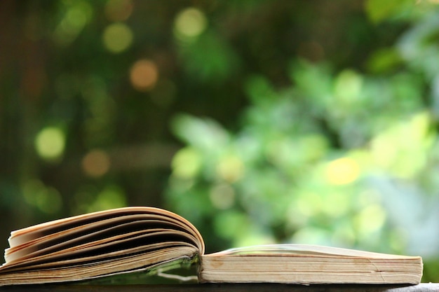 Photo vue rapprochée du livre ouvert sur le mur de soutènement