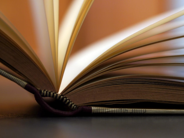 Vue rapprochée du livre ouvert sur la table