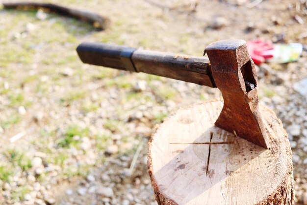 Vue rapprochée du métal rouillé sur le bois dans la forêt