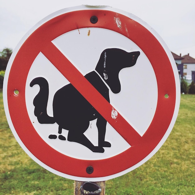 Photo vue rapprochée du panneau du chien sur la pelouse