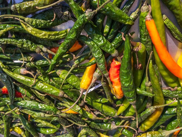 Vue rapprochée du piment vert séché