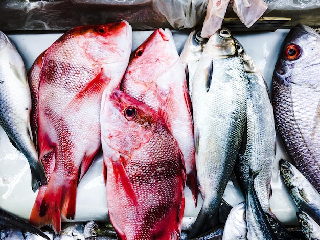 Photo vue rapprochée du poisson destiné à la vente sur le marché