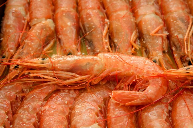 Vue rapprochée du poisson sur le marché