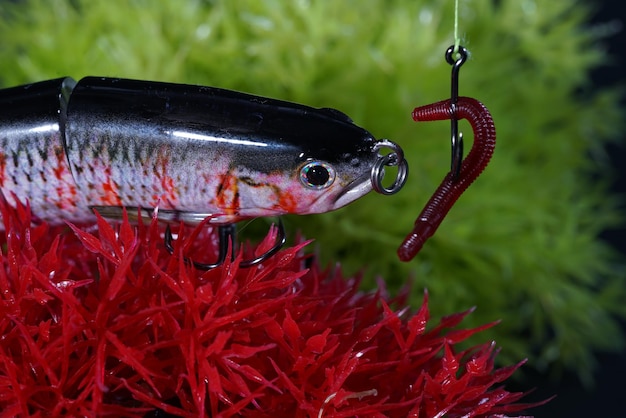 Photo vue rapprochée du poisson rouge