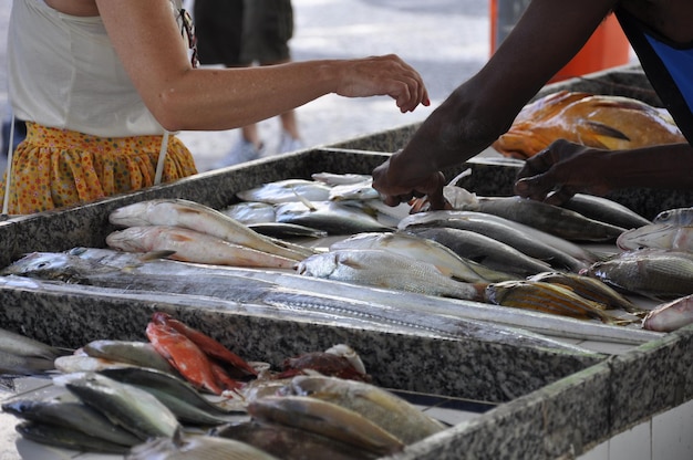 Photo vue rapprochée du poisson à vendre sur le marché