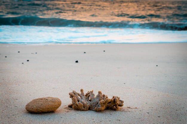 Photo vue rapprochée du sable sur la plage contre le ciel