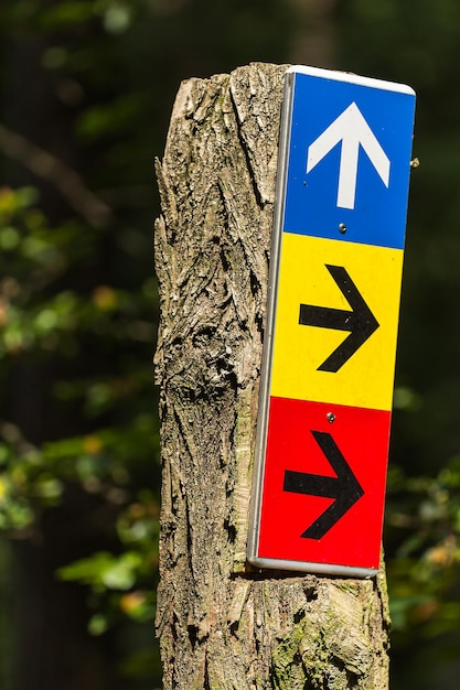 Vue rapprochée du signe de la flèche sur le tronc de l'arbre