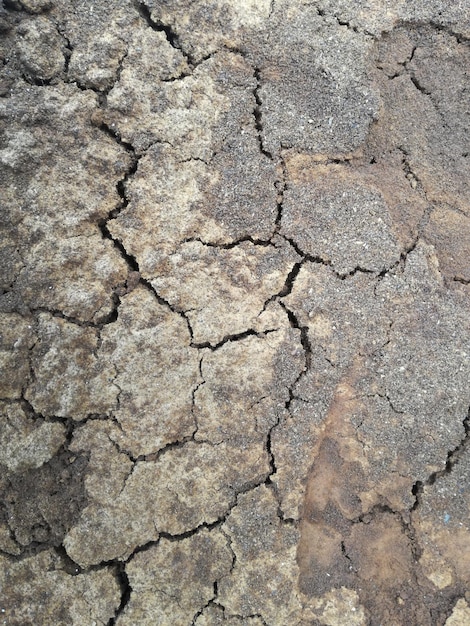 Photo vue rapprochée du terrain fissuré