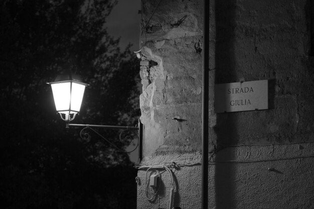 Vue rapprochée du texte illuminé sur l'arbre la nuit