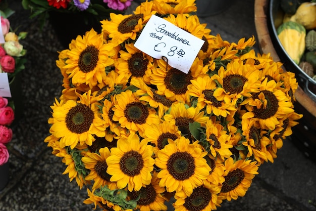 Photo vue rapprochée du tournesol