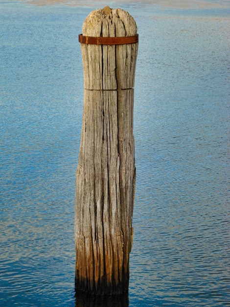 Photo vue rapprochée du tronc d'arbre par mer