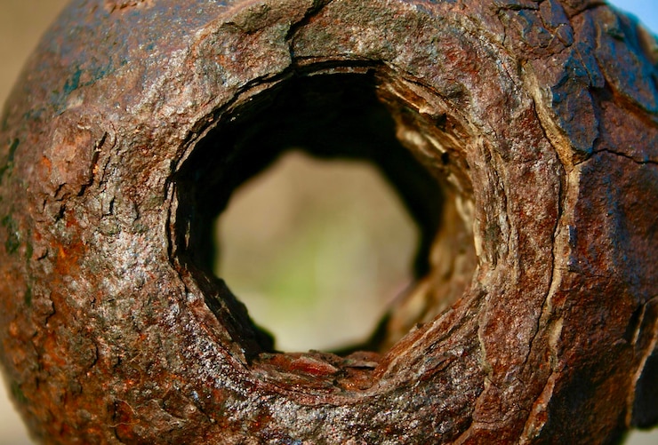 Photo vue rapprochée du tronc de l'arbre
