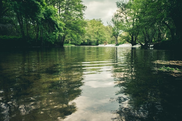 vue rapprochée de l'eau de la rivière