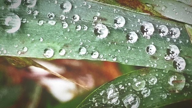 Vue rapprochée de l'eau