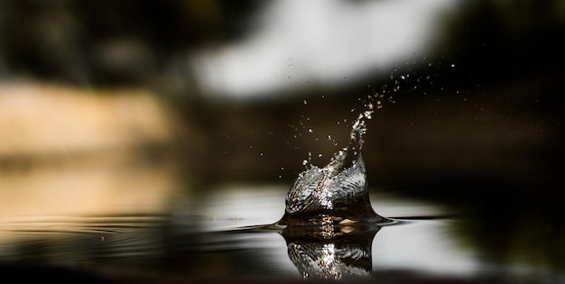 Photo vue rapprochée des éclaboussures d'eau sur le lac