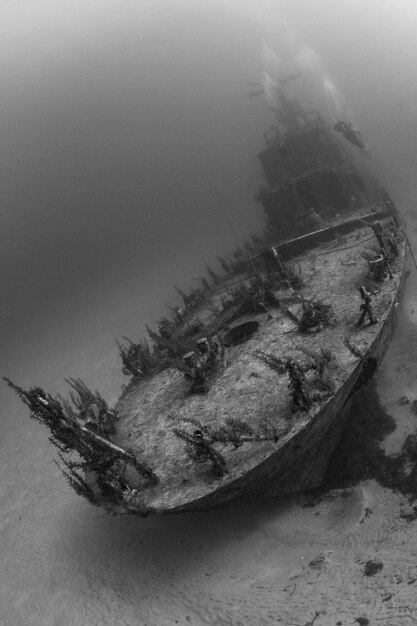 Photo vue rapprochée de l'épave p29 sous l'eau