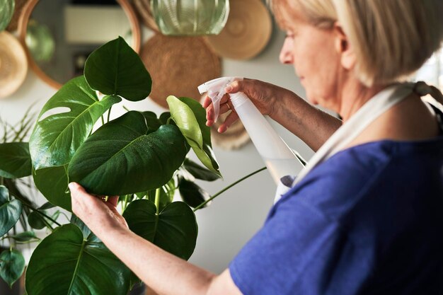 Vue rapprochée d'une femme âgée pulvérisant une plante verte