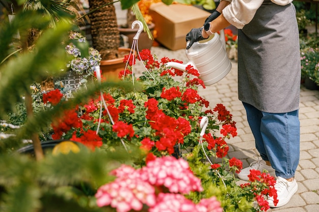 Vue rapprochée d'une femme fleuriste qui s'occupe d'une plante en l'arrosant dans un magasin de fleurs