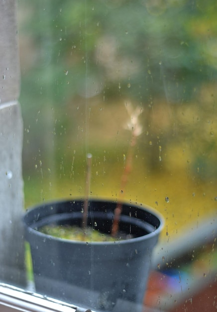 Vue rapprochée d'une fenêtre en verre