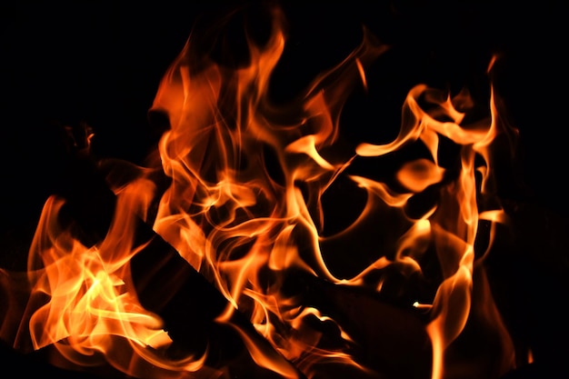Vue rapprochée d'un feu de joie la nuit