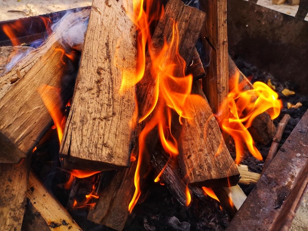 Photo vue rapprochée d'un feu de joie sur un tronc de bois