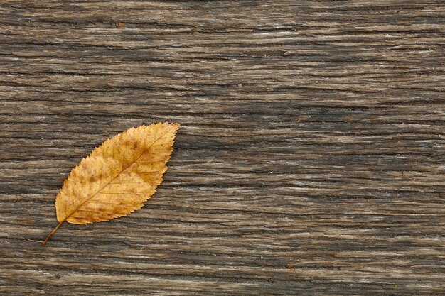 Vue rapprochée d'une feuille sèche sur une table en bois