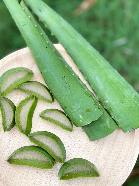 Photo vue rapprochée d'une feuille verte fraîche