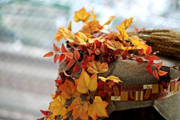 Vue rapprochée des feuilles d'érable orange sur la plante à l'automne