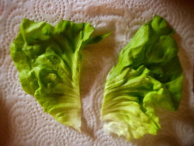 Photo vue rapprochée des feuilles de laitue sur une nappe