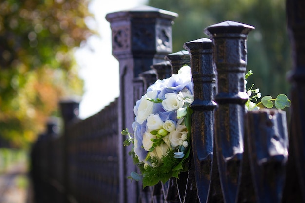 Vue rapprochée d'une fleur blanche sur la clôture du cimetière