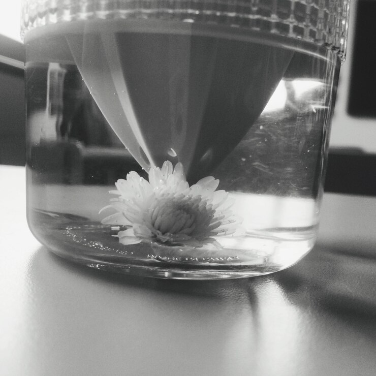 Photo vue rapprochée d'une fleur dans un récipient sur une table à la maison
