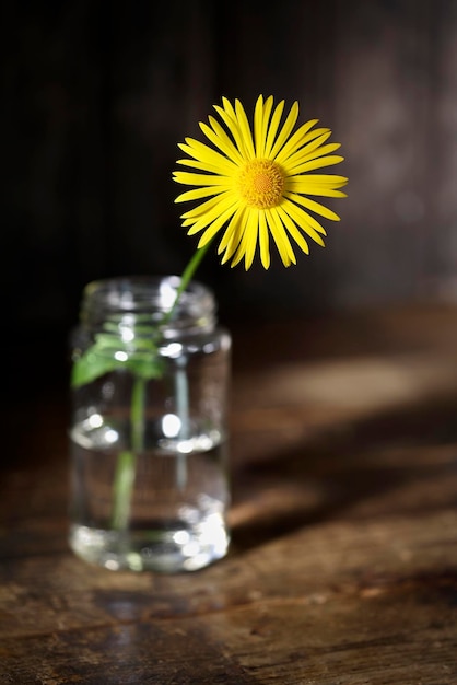 Photo vue rapprochée d'une fleur jaune dans un vase sur la table