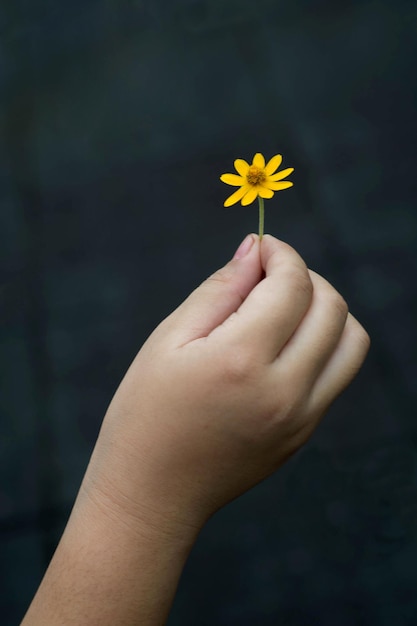Vue rapprochée de la fleur jaune