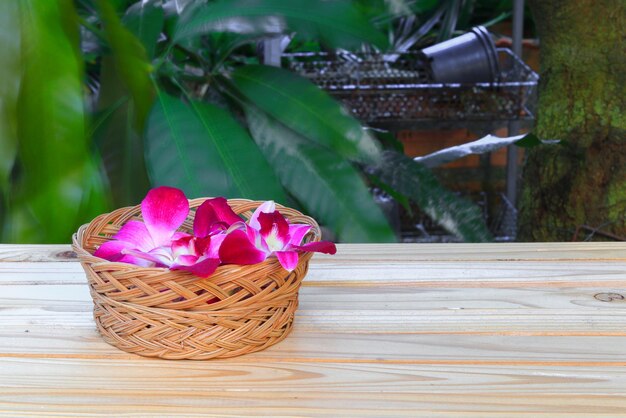 Vue rapprochée d'une fleur rose dans un panier