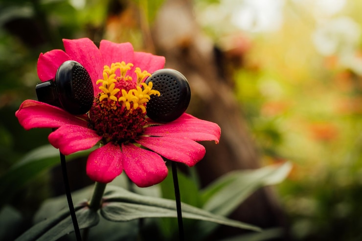 Photo vue rapprochée d'une fleur rose dans un parc