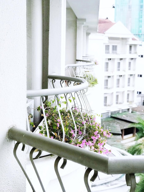 Photo vue rapprochée des fleurs sur le balcon