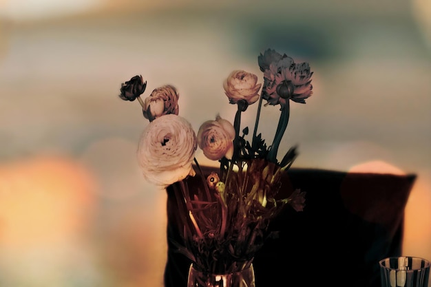 Photo vue rapprochée des fleurs éclairées