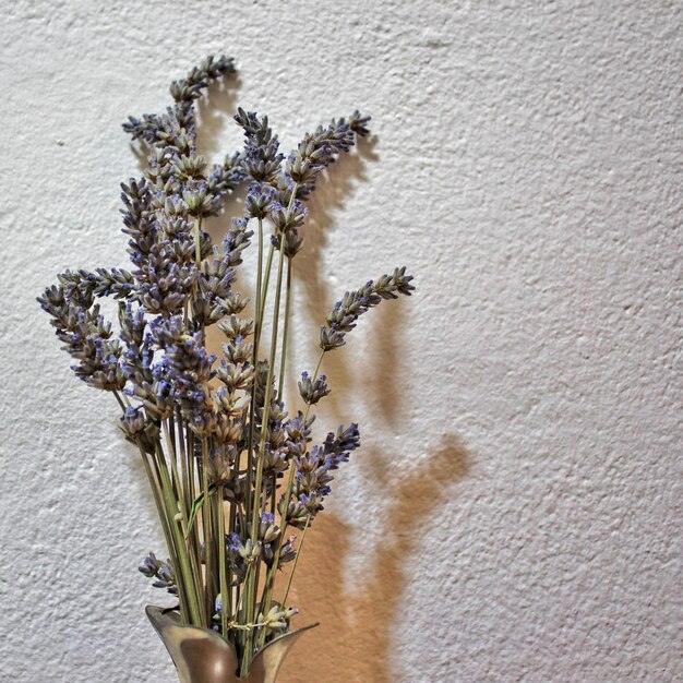 Photo vue rapprochée de fleurs flétries dans un vase contre le mur