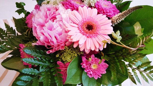 Photo vue rapprochée des fleurs de marguerite