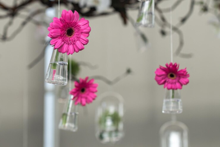 Photo vue rapprochée de fleurs roses dans un vase