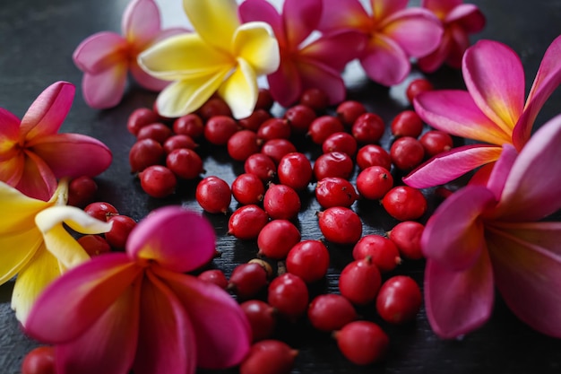 Photo vue rapprochée des fleurs rouges