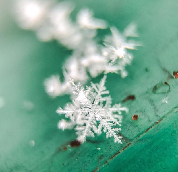 Photo vue rapprochée des flocons de neige sur la table verte