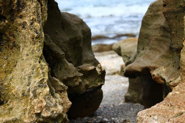 Vue rapprochée d'une formation rocheuse sur la plage