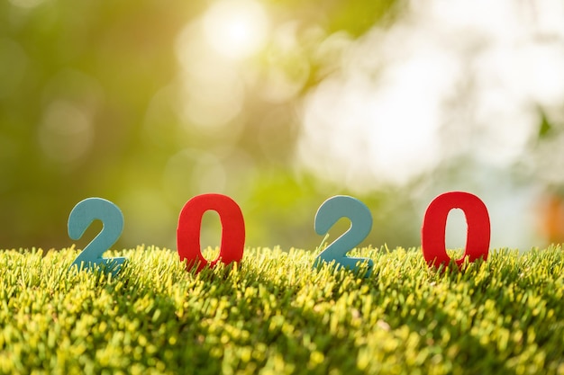 Vue rapprochée de la forme d'un cœur sur l'herbe