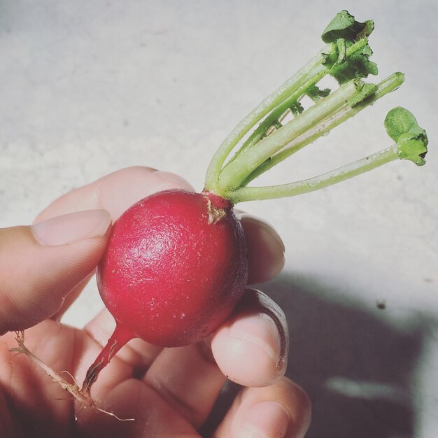 Photo vue rapprochée de fraises dans la main