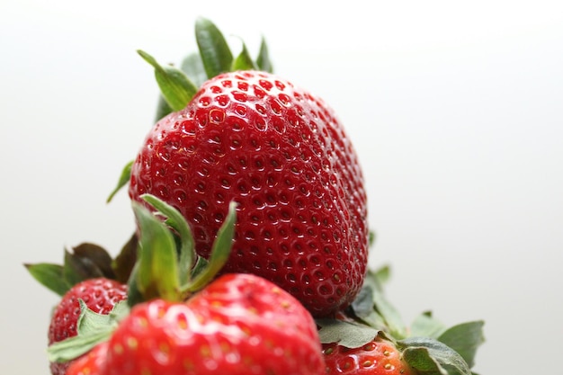Vue rapprochée des fraises sur fond blanc