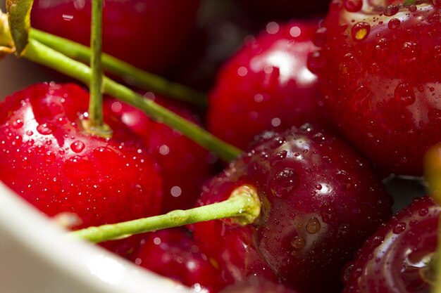 Vue rapprochée des fraises mouillées dans un bol